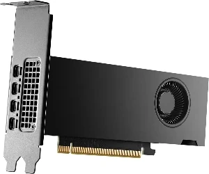 PNY Quadro RTX 2000 Ada 16 GB GDDR6